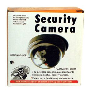 Dummy Dome Camera with Flashing LED