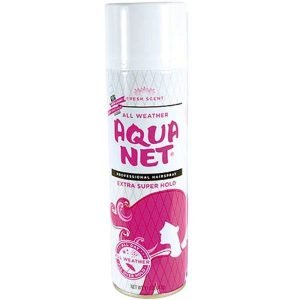 Hairspray Hidden Safe