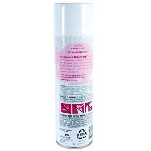 Hairspray Hidden Safe